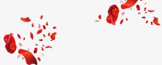 红色玫瑰花瓣　漂浮玫瑰花瓣免抠