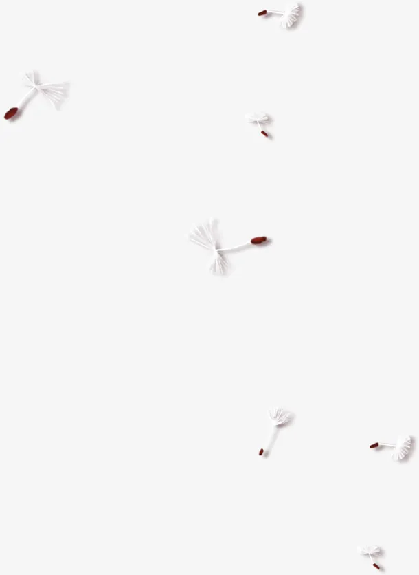 白色清新植物漂浮素材免抠