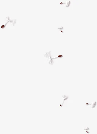 白色清新植物漂浮素材免抠