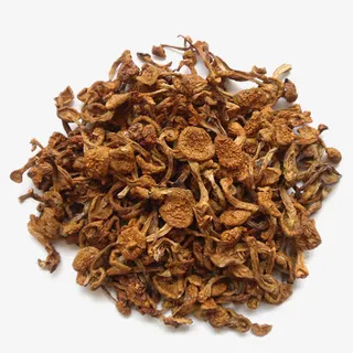 个头小的滑子菇免抠