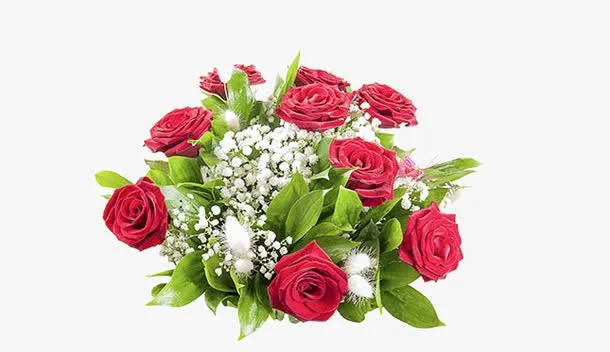 红色玫瑰花免抠