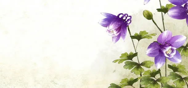 手绘鲜花背景