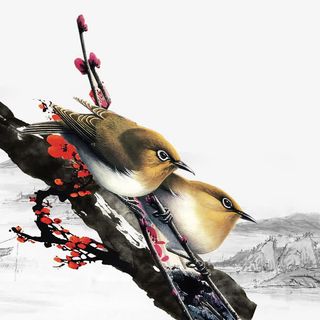 中国风梅花枝头的麻雀免抠