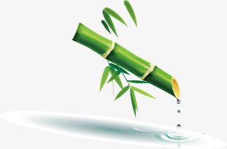 清新海报素材免抠