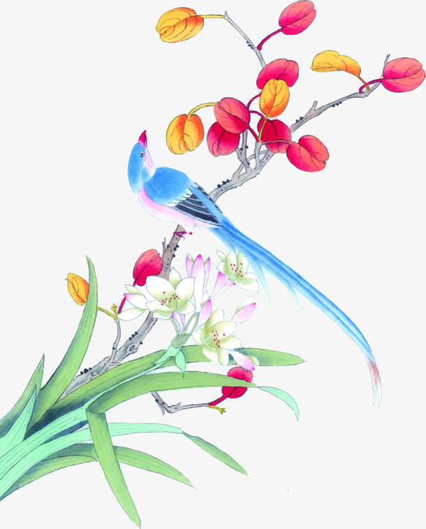 中国风水彩花鸟矢量元素免抠
