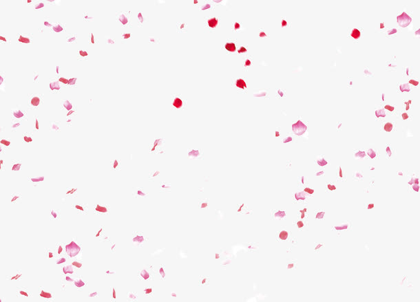 漂亮花朵花瓣飘落免抠