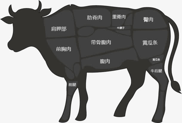 牛的部位分解图免抠