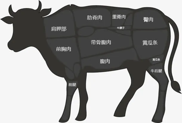 牛的部位分解图免抠