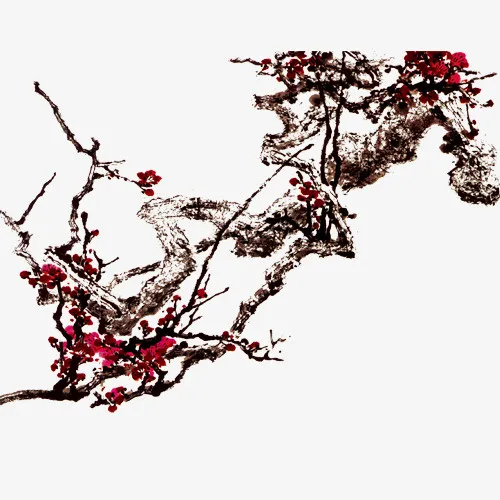 国画梅花免抠