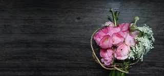 简约玫瑰花背景高清