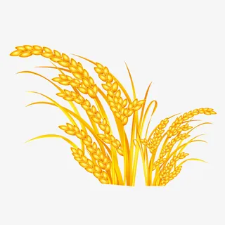 金色水稻免抠手绘/卡通卡通元素