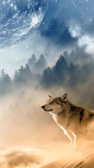 炫酷夜空狼守望H5背景素材高清