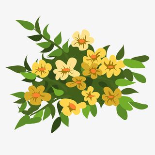 花朵手绘素材PNG免抠