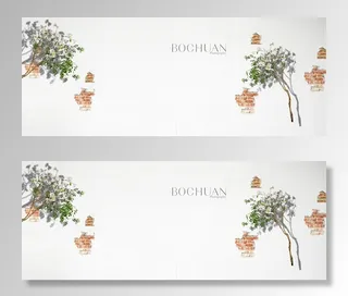 白色墙壁小清新树叶淘宝背景高清