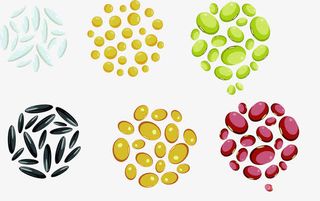 多种卡通谷物包装装饰图案免抠