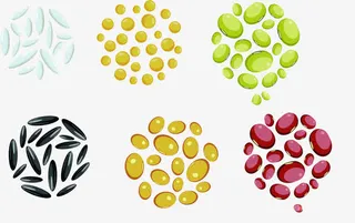 多种卡通谷物包装装饰图案免抠