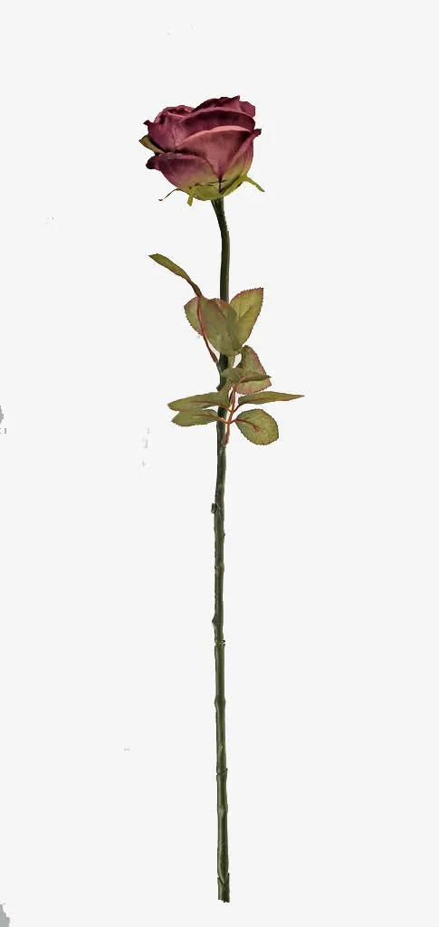 玫瑰花束免抠
