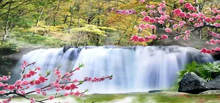 自然风光美景高清