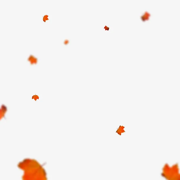 枫叶元素免抠