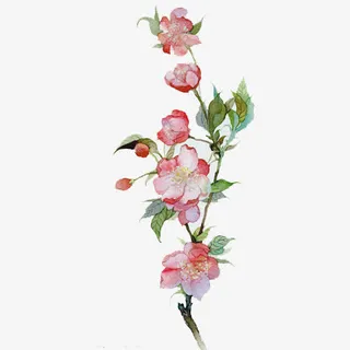 手绘插画素材免抠