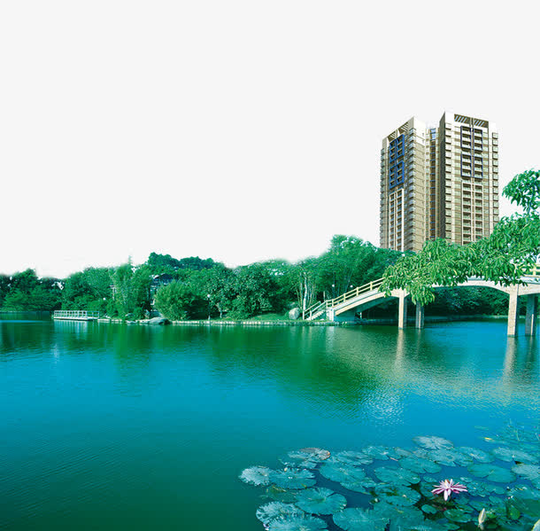 地产绿色湖畔免抠