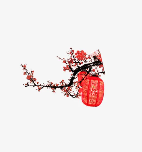 中国风梅花免抠