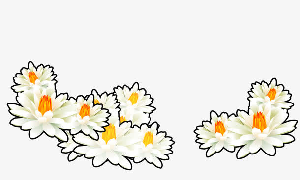 白莲花免抠