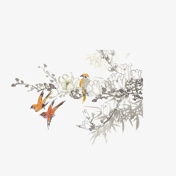 树枝免抠