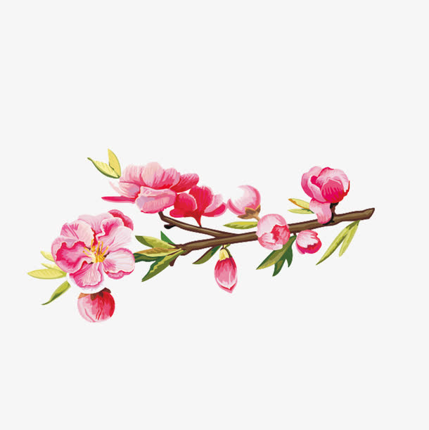 梅花免抠