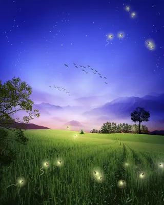 简约梦幻麦田广告高清