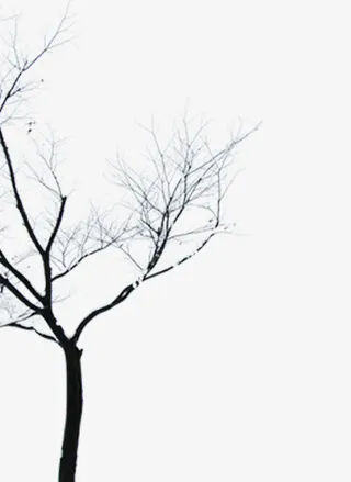 干枯树枝 树 树枝免抠