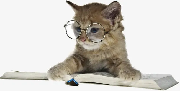 戴眼镜的猫咪免抠