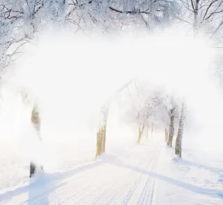 高清创意i合成森林场景合成免抠