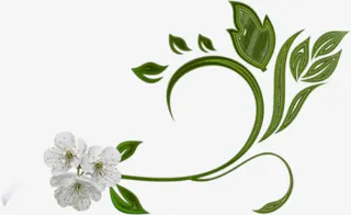 鲜花绿叶绿藤蔓免抠