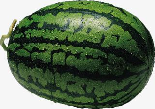 西瓜实物图免抠