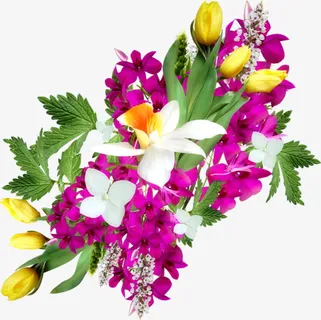 鲜花花草手绘装饰图片免抠