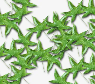 春天树叶景色免抠