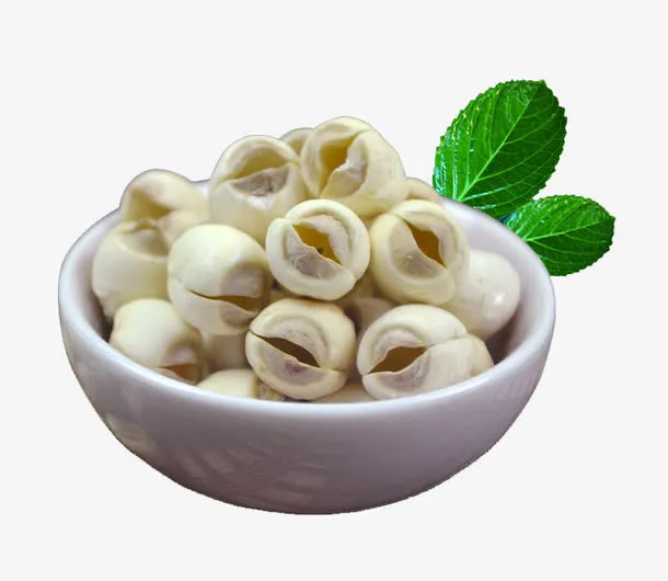 无芯莲子干货免费下载免抠