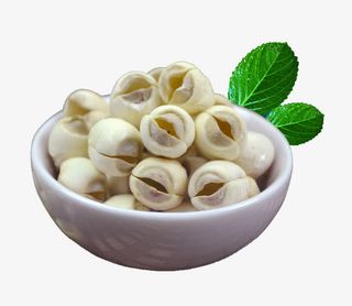 无芯莲子干货免费下载免抠