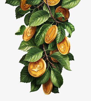 树枝上的金币免抠