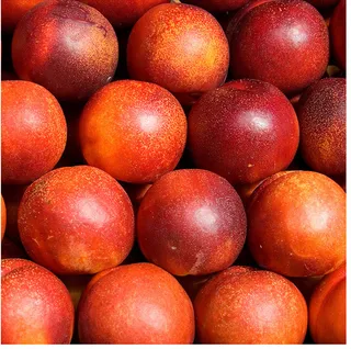 水果蔬菜高清图片免抠