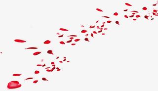 排列的红色花瓣七夕情人节海报背景