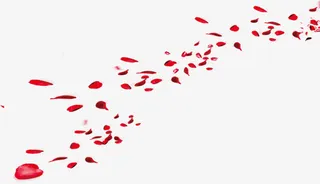 排列的红色花瓣七夕情人节海报背景