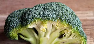 西兰花高清