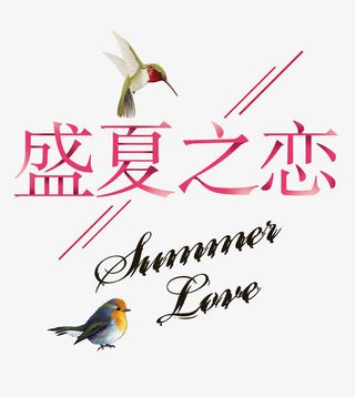 盛夏之恋免抠
