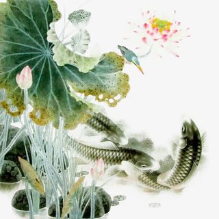 荷花池的小鱼免抠