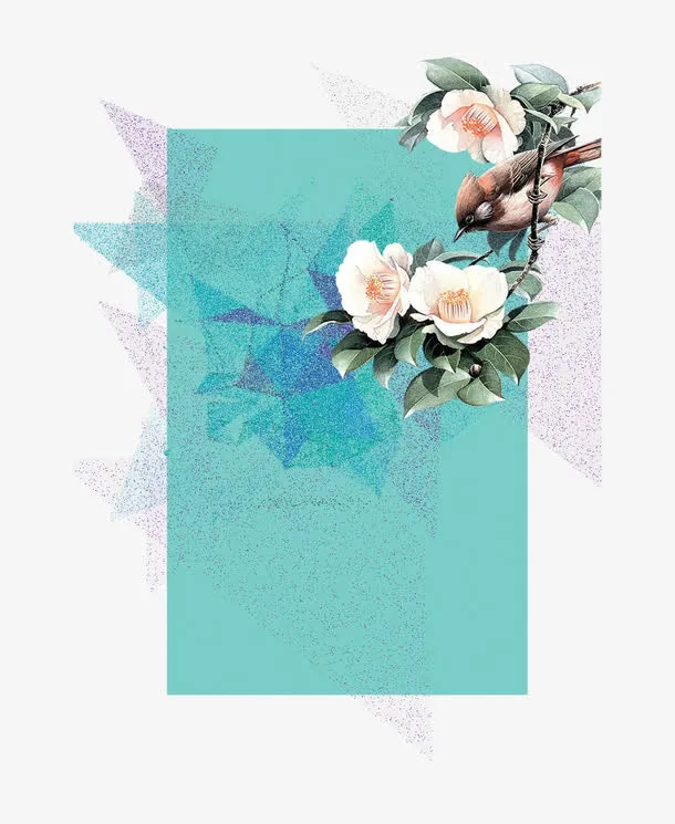 山茶花背景素材