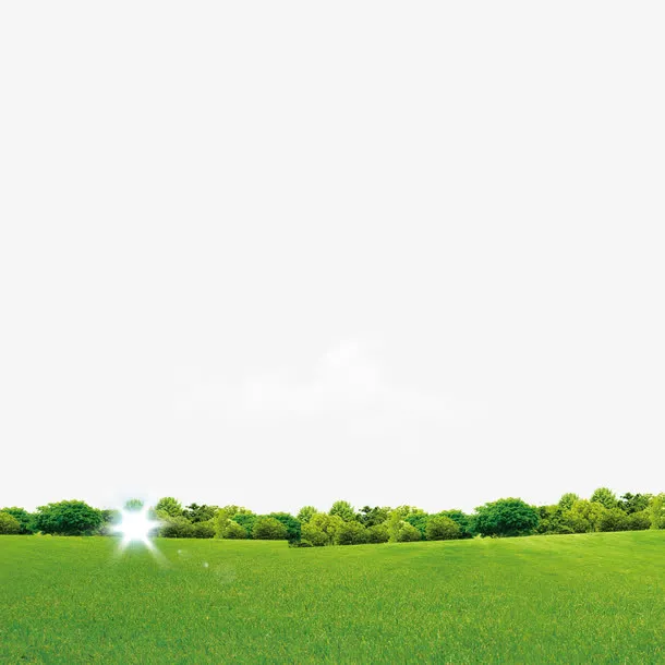 绿草地免抠