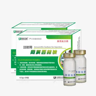 阿莫西林钠注射药品免抠