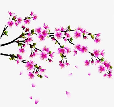 设计海报七夕树枝花朵免抠